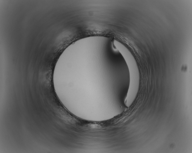 X0000094420509200712061054