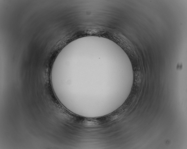 X0000094420510200712061054