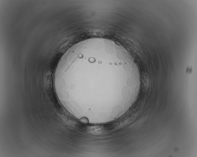 X0000094420511200712061054