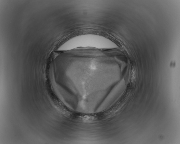 X0000094420512200712061054