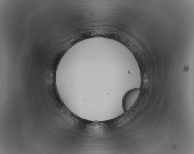 X0000094420514200712061054