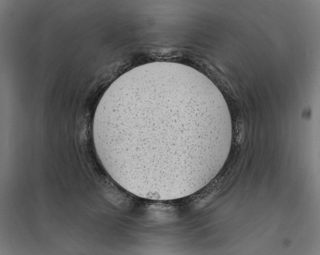 X0000094420515200712061054