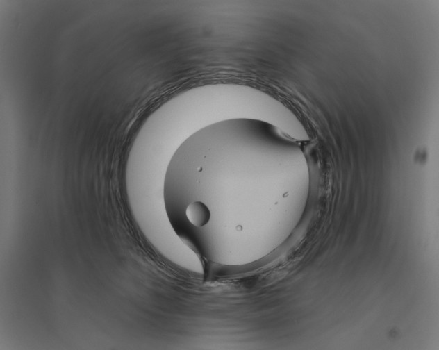 X0000094420516200712061054