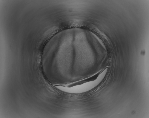 X0000094420517200712061054