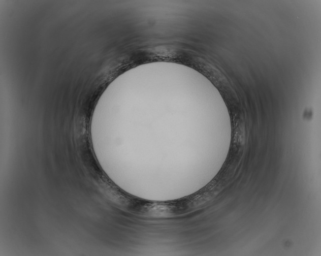 X0000094420518200712061054