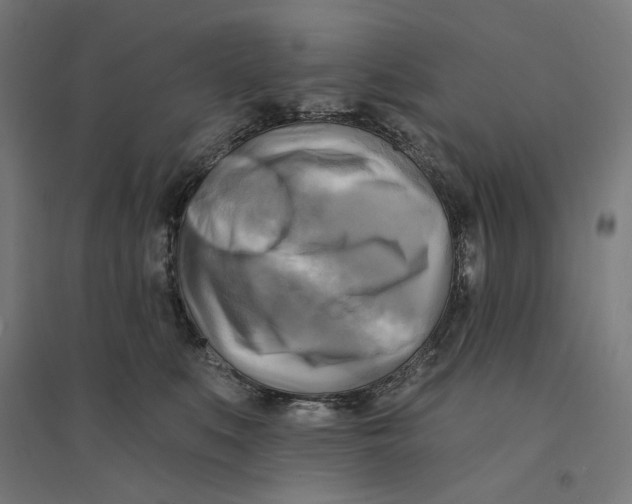 X0000094420519200712061054