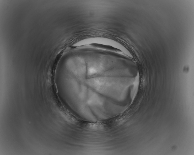 X0000094420520200712061054