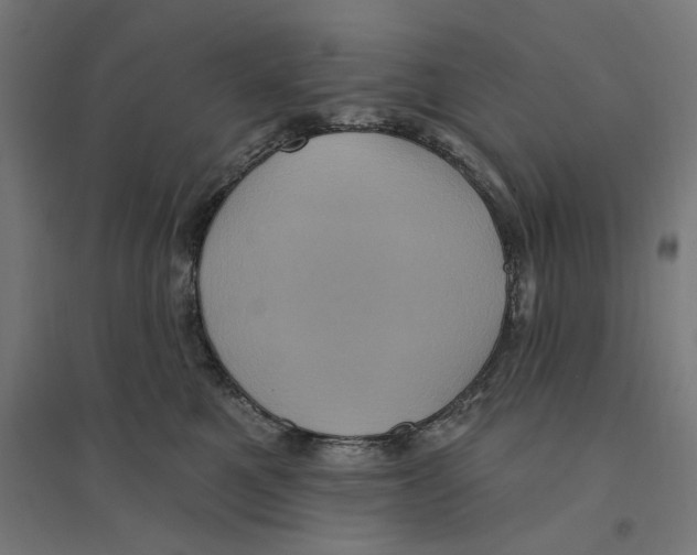 X0000094420521200712061054