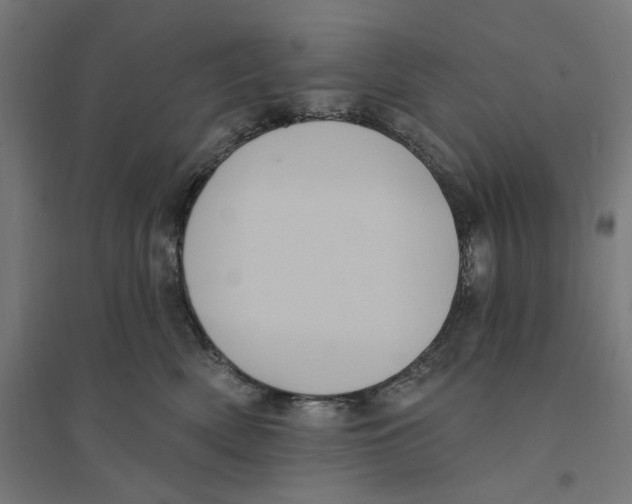 X0000094420522200712061054