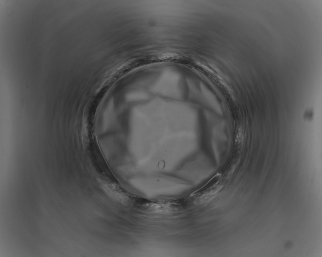 X0000094420524200712061054