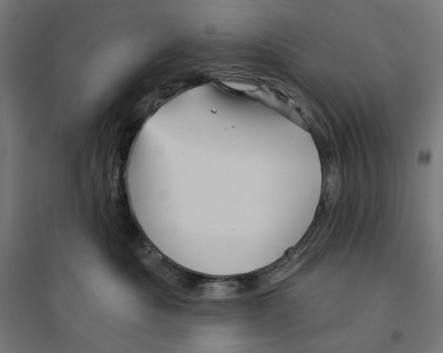 X0000094420525200712061054