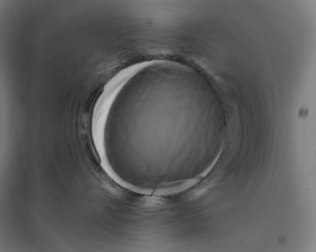 X0000094420528200712061054