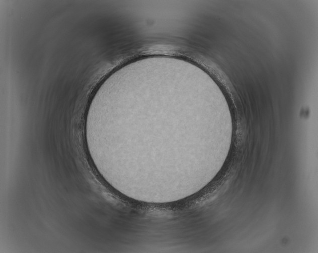 X0000094420529200712061053