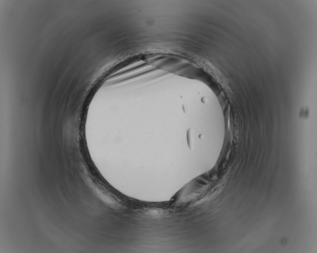 X0000094420530200712061053