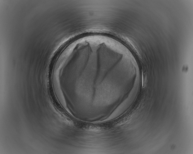 X0000094420531200712061053