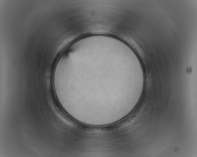 X0000094420533200712061053