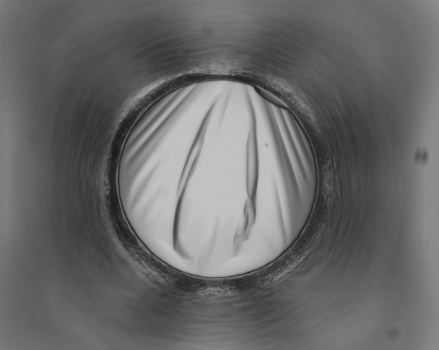 X0000094420536200712061053