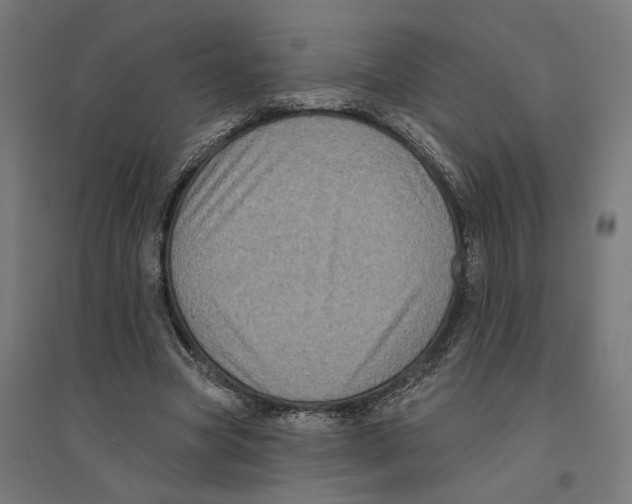 X0000094420537200712061053