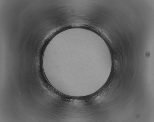 X0000094420539200712061053