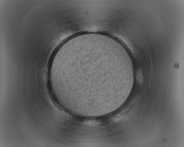 X0000094420540200712061053