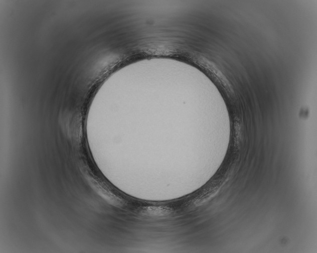 X0000094420541200712061053