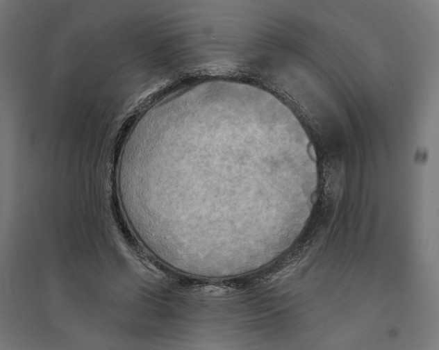 X0000094420542200712061053