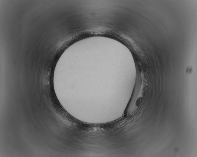 X0000094420543200712061053