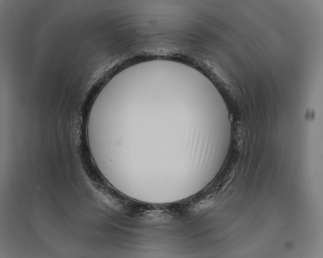 X0000094420544200712061053