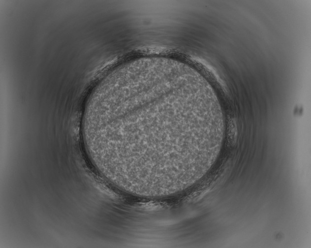 X0000094420545200712061053