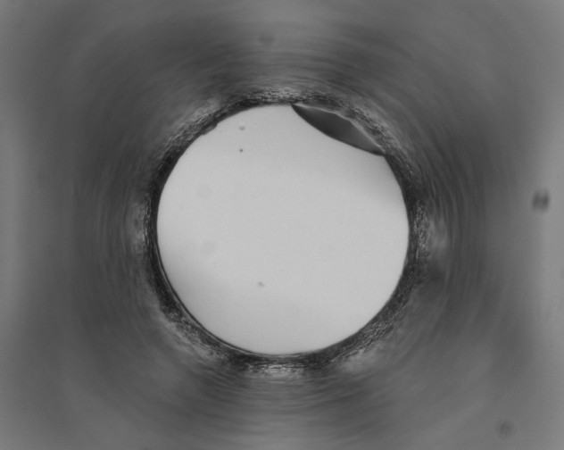 X0000094420546200712061053