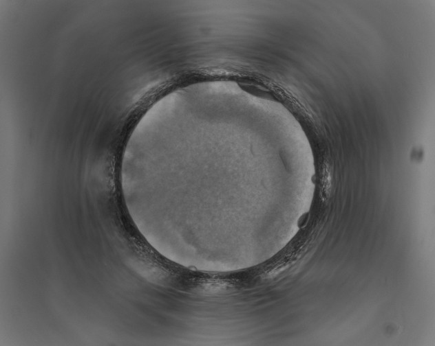 X0000094420547200712061054