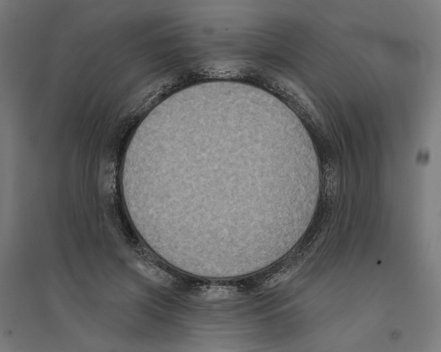 X0000094420549200712061054