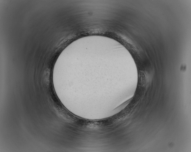 X0000094420550200712061054