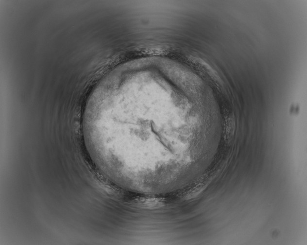 X0000094420553200712061054