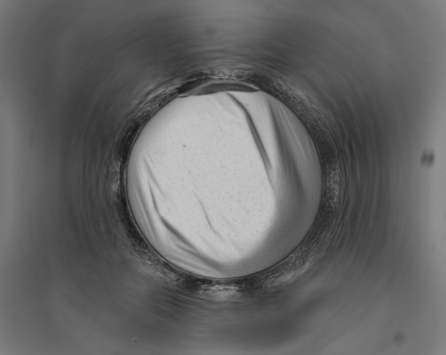 X0000094420554200712061054