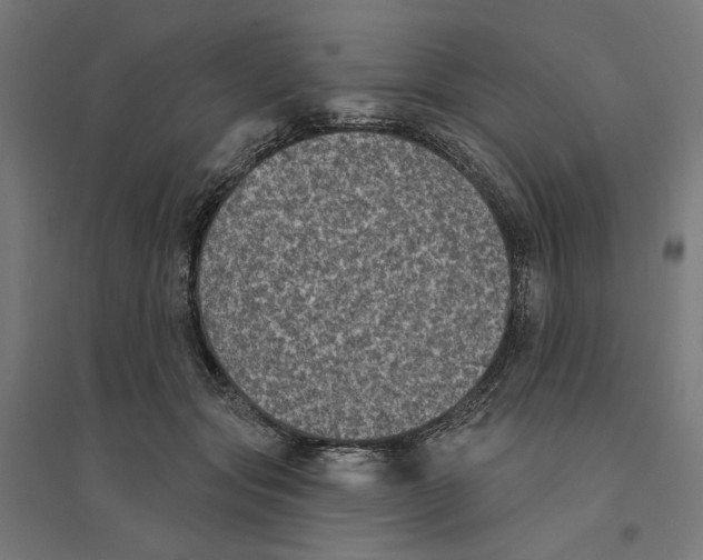 X0000094420557200712061054