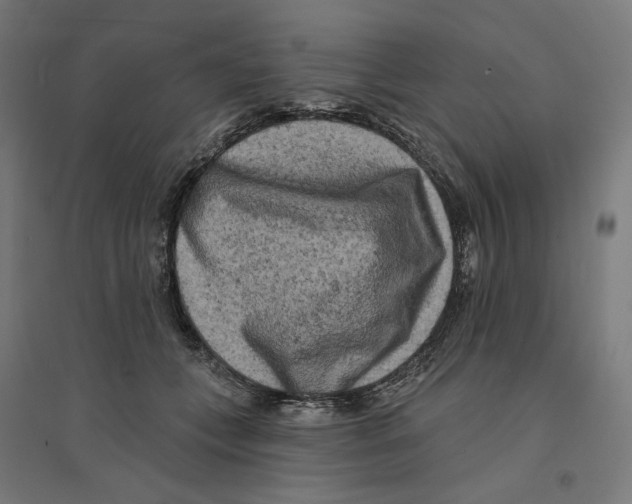 X0000094420559200712061054