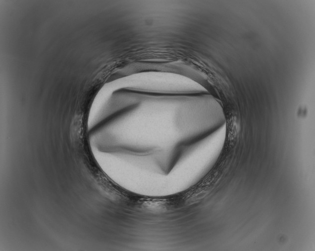 X0000094420560200712061054