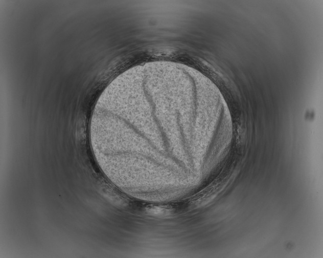 X0000094420561200712061054