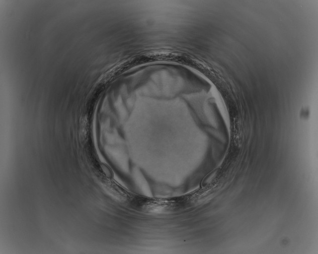 X0000094420563200712061054