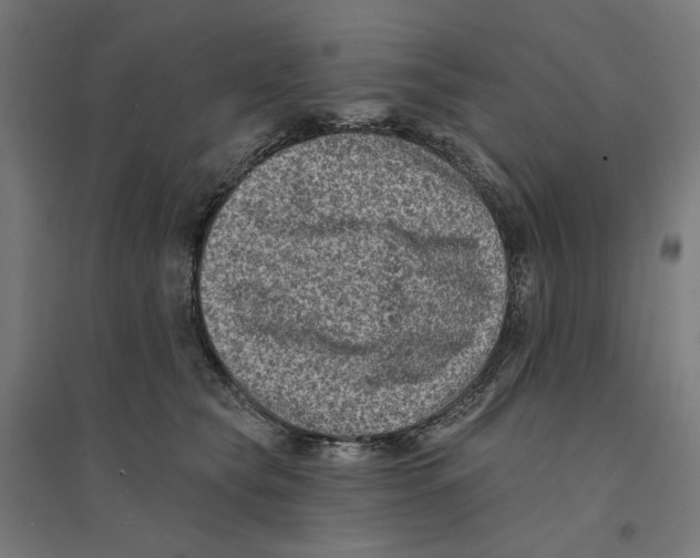 X0000094420565200712061054