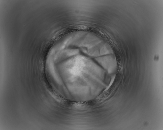 X0000094420568200712061054