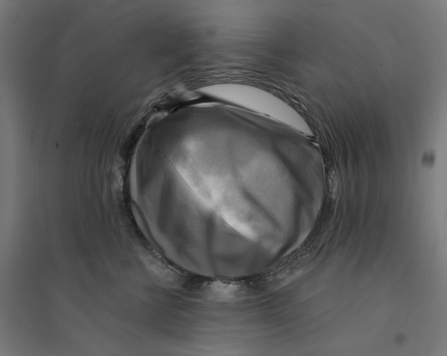 X0000094420570200712061054