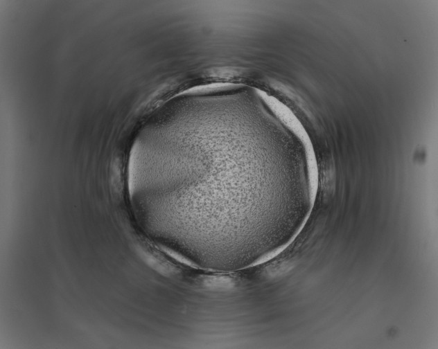 X0000094420572200712061054