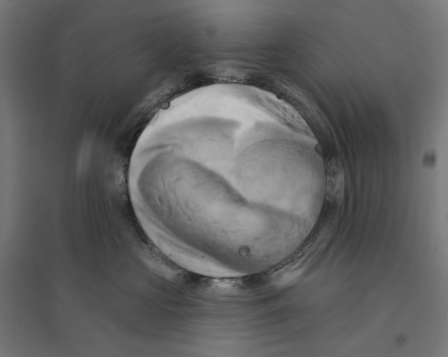 X0000094420573200712061054