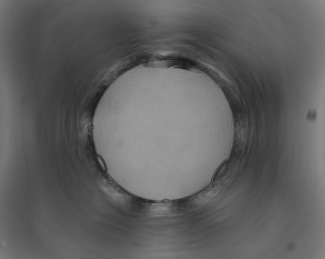 X0000094420574200712061054