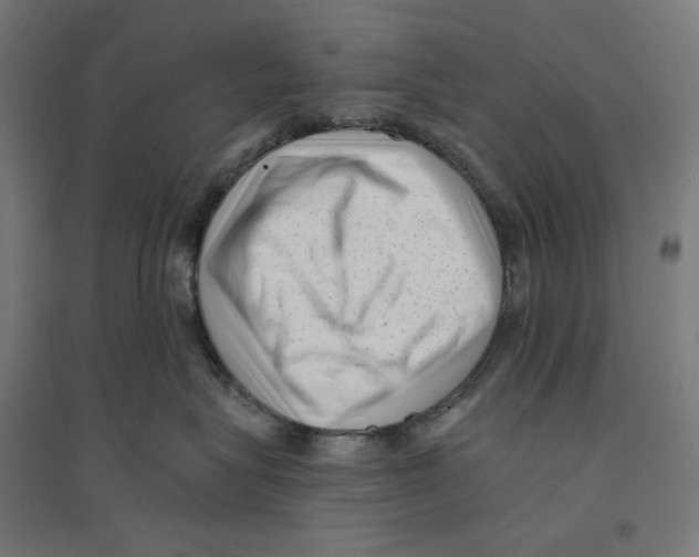 X0000094420575200712061054