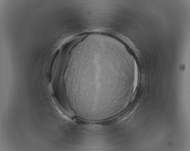 X0000094420577200712061053