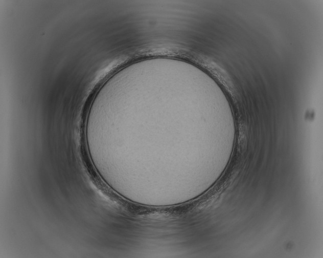 X0000094420578200712061053