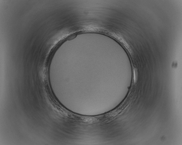 X0000094420579200712061053